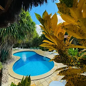 Coisa E Tao Porto Seguro